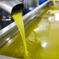 دنبال روغن زیتون طبیعی و خالص هسی