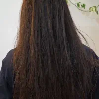 خدمات تخصصی صافی و احیای مو
