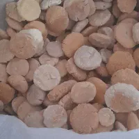 کشک بز|خوردنی و آشامیدنی|بدره, |دیوار