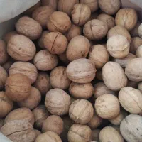 گردو خارجی درجه1کالابرگ