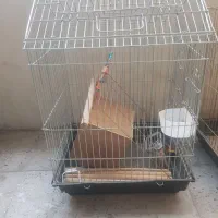 قفس پرنده طوطی