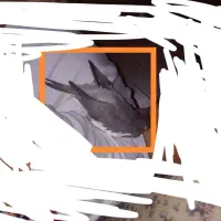 عروس هلندی گم شده محدود اسکان مژدگانی تقدیم می شود|حیوانات|یزد, |دیوار