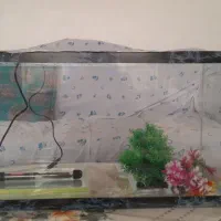 اکواریوم ، همراه با وسایل