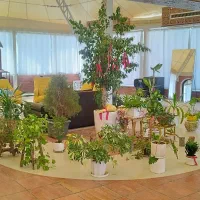 جذب پرسنل سالن زیبایی|استخدام درمانی، زیبایی، بهداشتی|مرودشت, فاز دوم شهرک فرهنگیان|دیوار