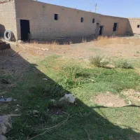 فروش و اجاره دامداری به متراژ 1000متر|اجارهٔ دفتر صنعتی، کشاورزی، تجاری|میاندوآب, |دیوار