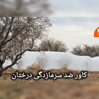 وکاور کشاورزی  فوم ضد سرمازدگی و ضد گرما زدگی|خدمات باغبانی و درختکاری|ارسنجان, |دیوار