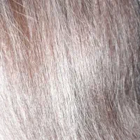 دستیار کراتین کار هستم