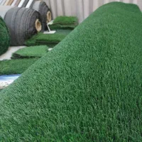 پخش چمن مصنوعی|گل مصنوعی|اصفهان, جاوان|دیوار