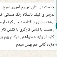 گمشده|اشیا|شیراز, سعدیه جنوبی|دیوار