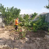 باغبانی ،هرسکاری ،سمپاشی،تیلرزنی،