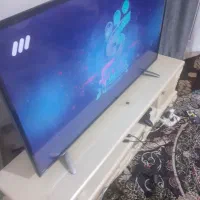 49اینج هایسنس|تلویزیون و پروژکتور|پاکدشت, شهرک امام رضا|دیوار