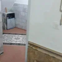 عروس هلندی|پرنده|ملایر, |دیوار