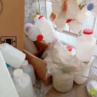 تعداد زیاد دبه بزرگ و کوچک برای ترشی و..
