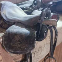 اسب و لوازم سوارکاری|اسب و تجهیزات اسب‌سواری|نجف‌آباد, گلدشت|دیوار