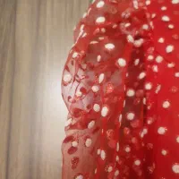 مجلسی|لباس|شیراز, کوشک میدان|دیوار