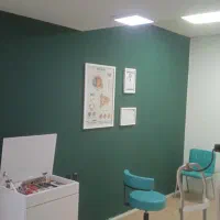 نقاشی و دکوراسیون خاص هایستان