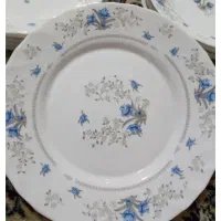 دیوارکوب ها ژاپن و چین دونه 100 تومن بشقاب ارکوپال