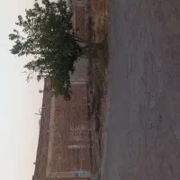 زمین دو نبش کوچه 12 متری