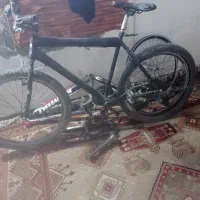 دوچرخه دو تنه