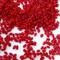 زرشک پفکی و تازه بیرجند