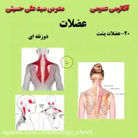دوره طب سنتی و کایروپراکتیک با اف ۵۰ ٪مدرک معتبر|خدمات آموزشی|اهواز, رسالت|دیوار
