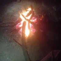 فروش سیم کارت