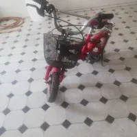 دوچرخه بچه سایز 12|دوچرخه، اسکیت، اسکوتر|قم, بنیاد|دیوار