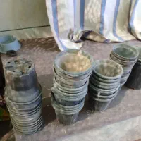 گلدون پلاستیکی|گل و گیاه طبیعی|شیراز, شهرک گلها|دیوار