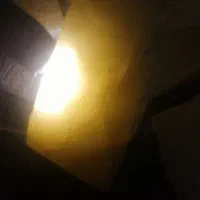 شاه مقصود راف70کیلودرجه یک بدون پرتی فوری زیرقیمت|کلکسیون و سرگرمی|تهران, دستغیب|دیوار