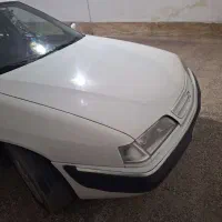 زانتیا خشک در حد صفر تمیز