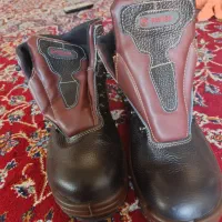 کفش کار|کیف، کفش، کمربند|فسا, |دیوار