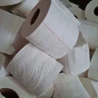 دستمال کاغذی فله ای و بسته بندی تحویل در محل شما|مواد شوینده و دستمال کاغذی|تهران, تهرانپارس شرقی|دیوار