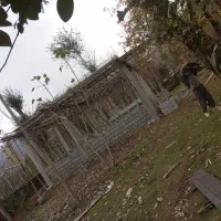 ارماتوربندی پی پله ستون سقف.|خدمات پیشه و مهارت|تالش, هشتپر|دیوار