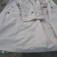 پالتو
