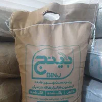 برنج محلی مازندران