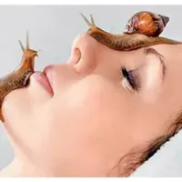فروش حلزون مناسب پوست