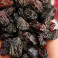 کشمش آفتابی پاک شده  کارتنی ۹ کیلویی|عمده‌فروشی|تاکستان, |دیوار