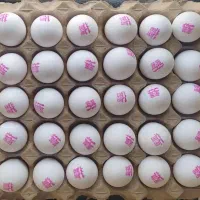 پخش و توزیع مستقیم تخم مرغ