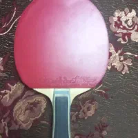 راکت پینگ پنگ ویسکاریا سوپر