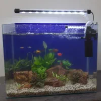 آکواریم زیبا