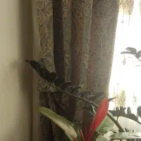 پرده کتیبه|پرده، رانر، رومیزی|تهران, پاسداران|دیوار