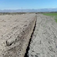 زمین کشاورزی|فروش دفتر صنعتی، کشاورزی، تجاری|نظرآباد, احمد آباد|دیوار