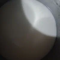 دوغ گوسفندی پرچرب