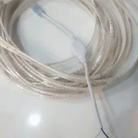 ریسه انبه ای