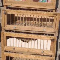 صندوق راهکش کبوتر