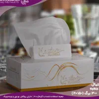 دستمال دلسی|مواد شوینده و دستمال کاغذی|بهبهان, |دیوار