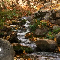 ورزش|کوهنوردی و کمپینگ|کرمانشاه, |دیوار