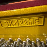 پیانو آکوستیک سمیک آکبند