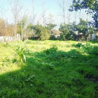 200متر-زمین-شهری-با-سند-تک-برگ