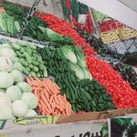 وسایل میوه فروشی